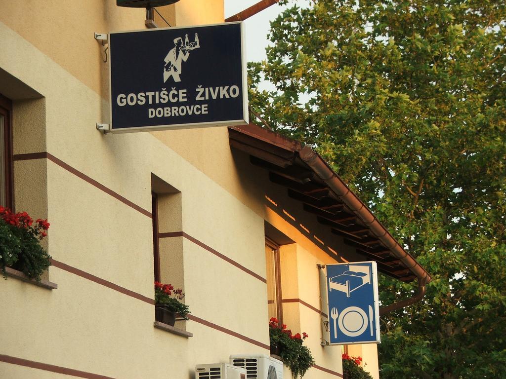 Guesthouse Zivko Dobrovce Bagian luar foto